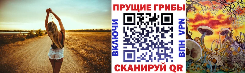 где купить наркоту  hydra вход  Псилоцибиновые грибы ЛСД  Торжок 