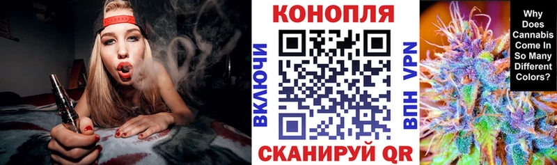магазин    Торжок  сайты даркнета телеграм  Шишки марихуана Bruce Banner 